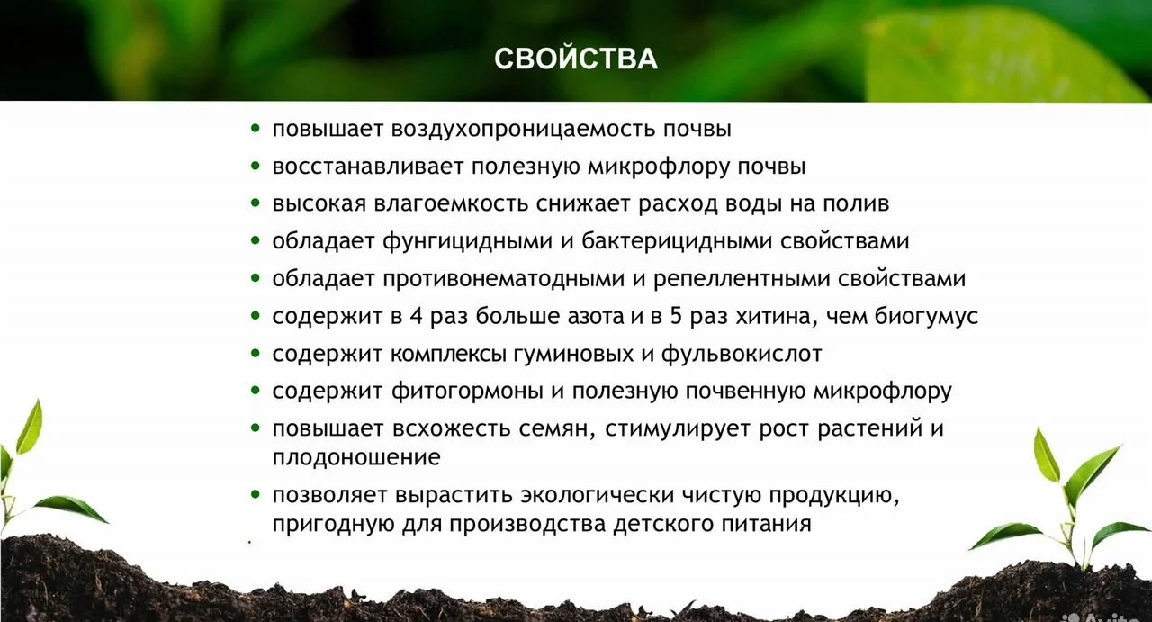 Зоогумус «Львинка» - миниатюра 2