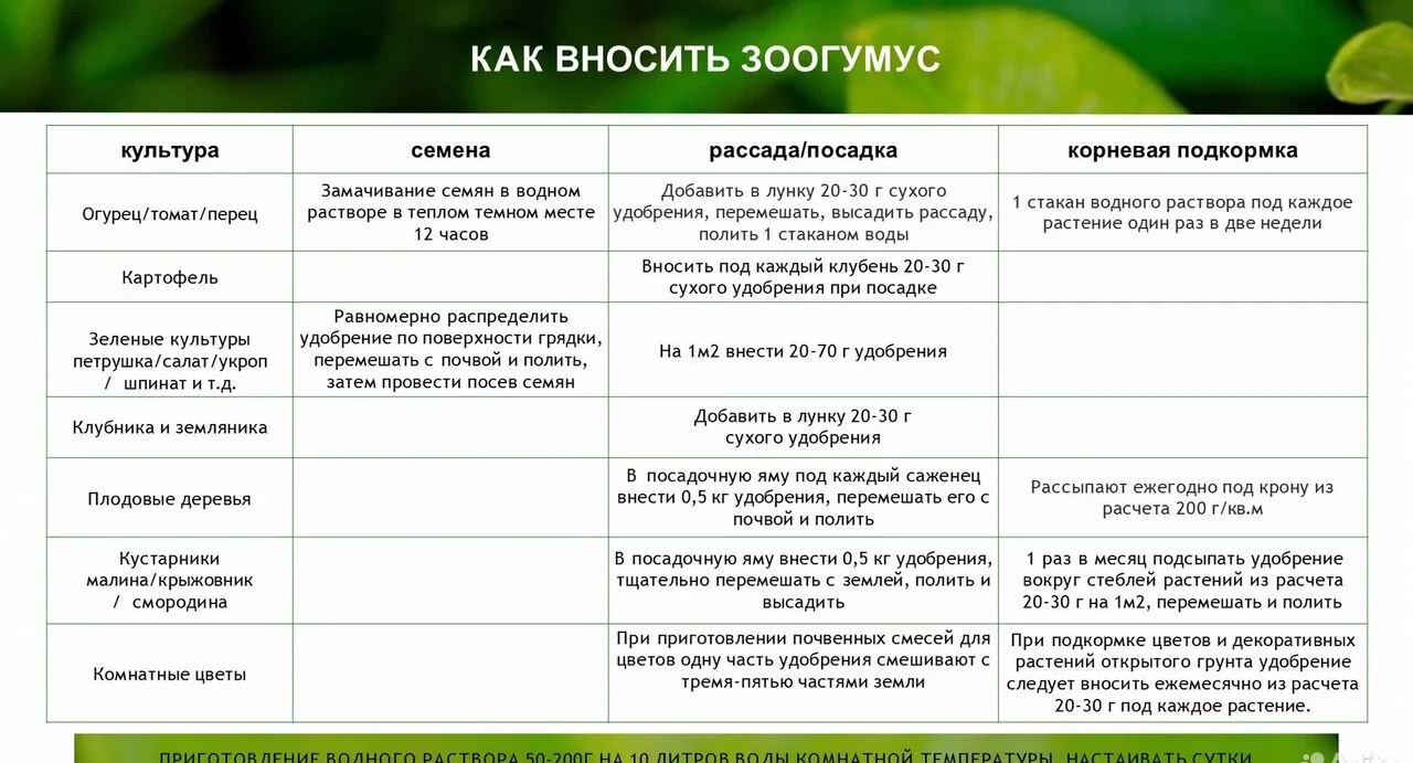 Зоогумус «Львинка» - миниатюра 4