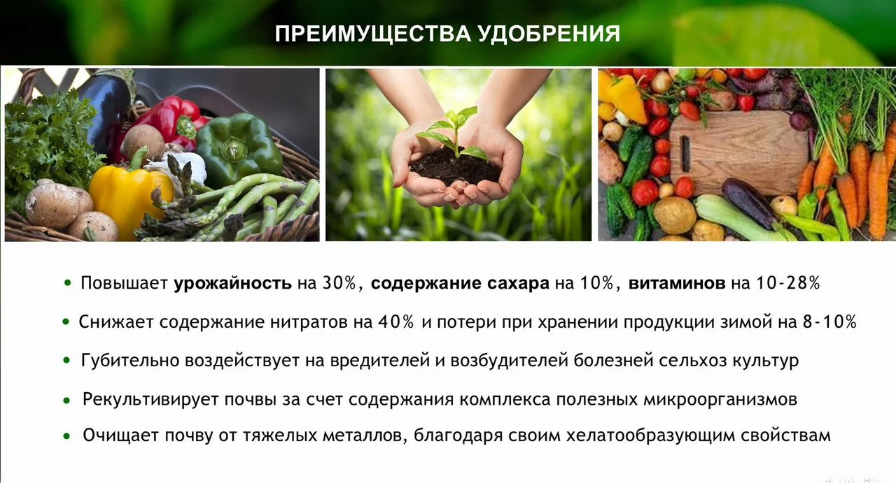 Зоогумус «Львинка» - миниатюра 5