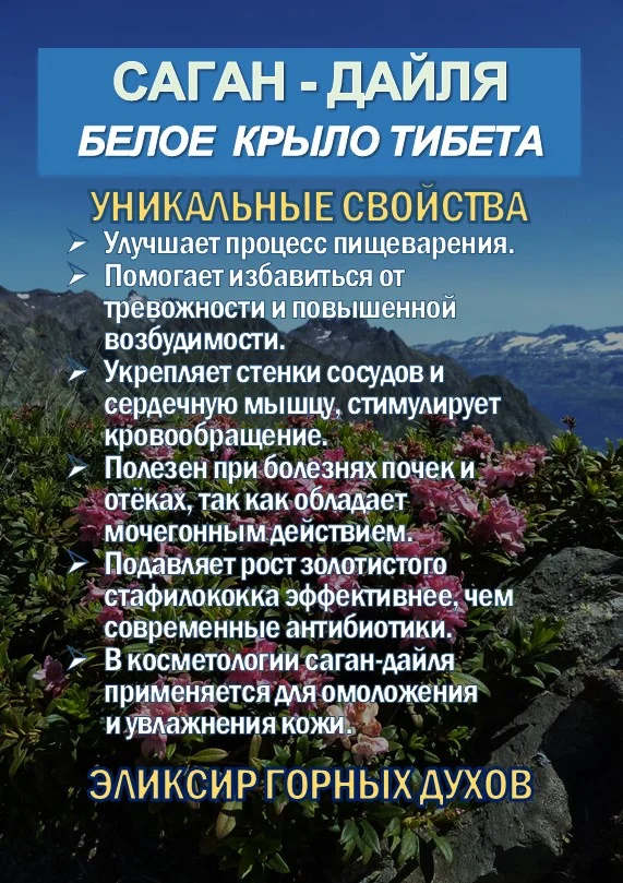 Фиточай Саган Дайля. Белое Крыло. - миниатюра 2