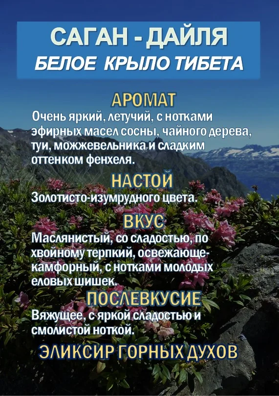 Фиточай Саган Дайля. Белое Крыло. - миниатюра 4