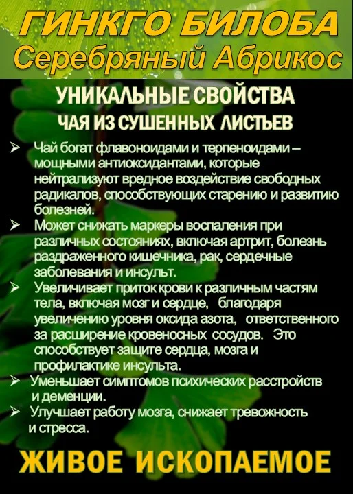 Функциональны чай. Листья Гинкго двулопастного - миниатюра 3