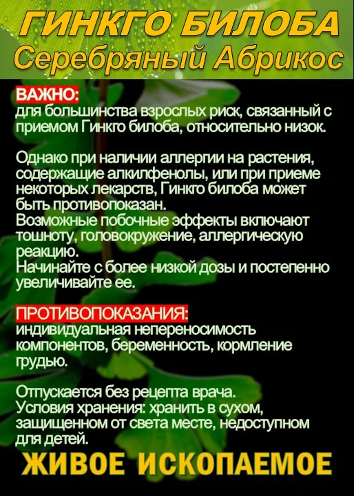 Функциональны чай. Листья Гинкго двулопастного - миниатюра 5