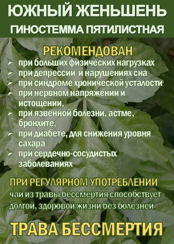 Фиточай Джиаогулан. Гиностемма пятилистная. - миниатюра 3