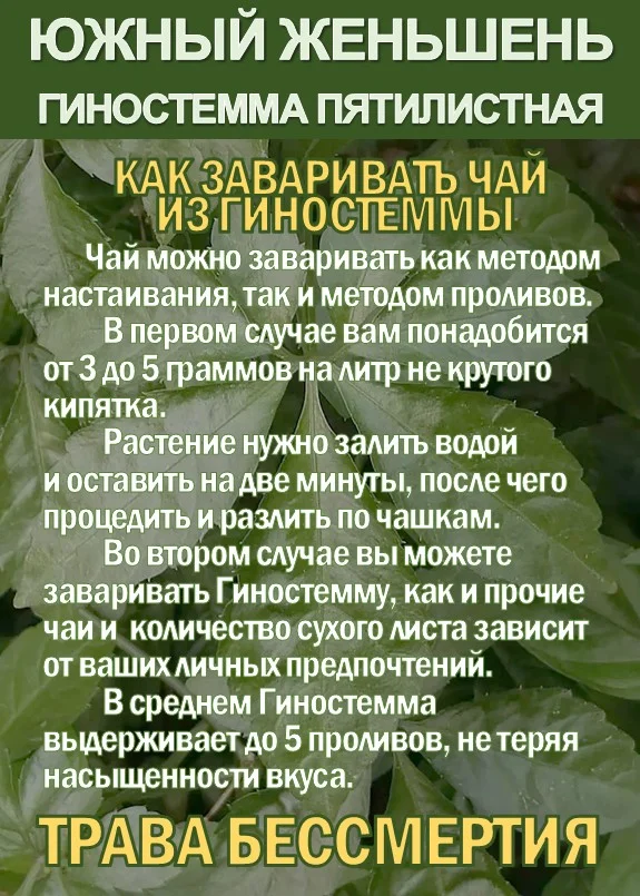 Фиточай Джиаогулан. Гиностемма пятилистная. - миниатюра 4