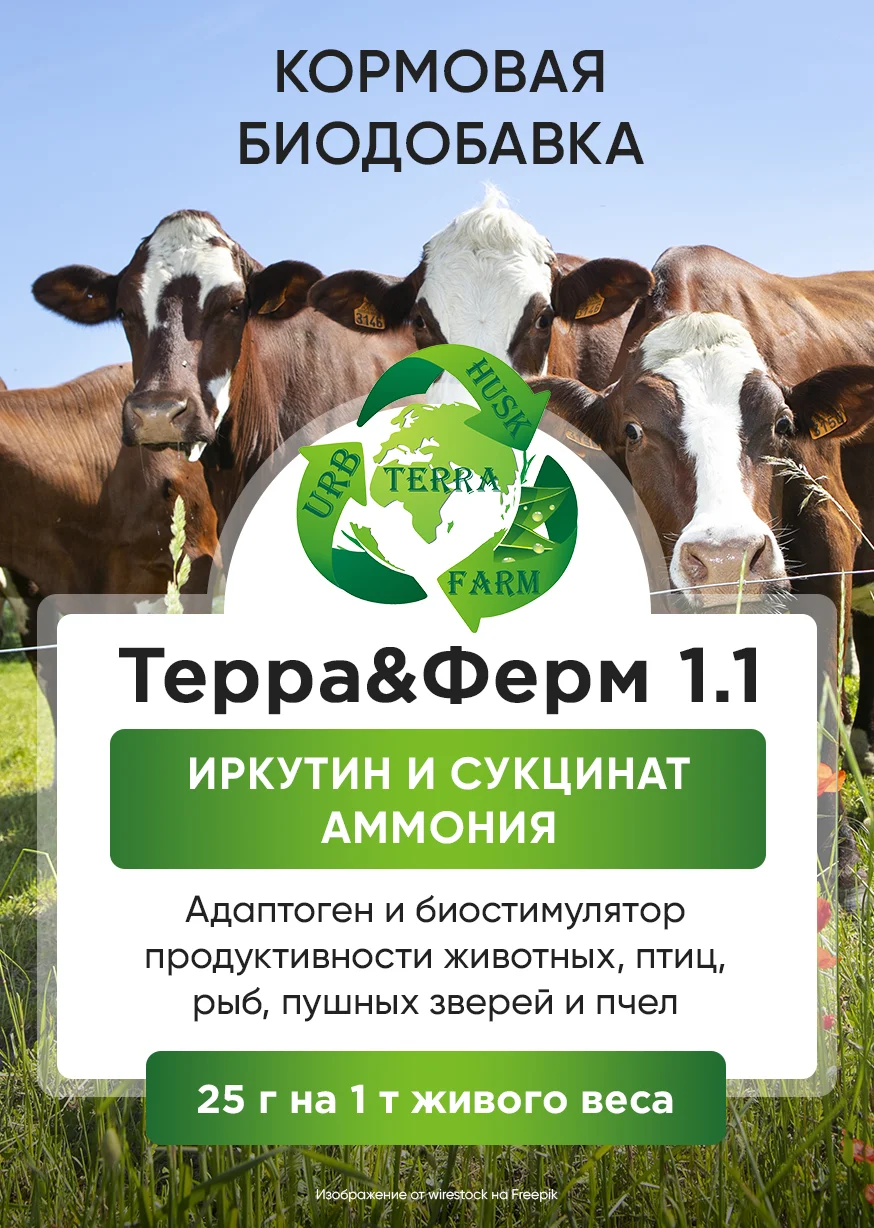 Новый биостимулятор продуктивности животных - изображение 1