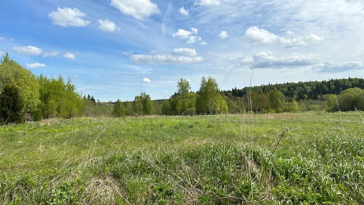 Продаю землю 6,2 га в Московской области - миниатюра 13