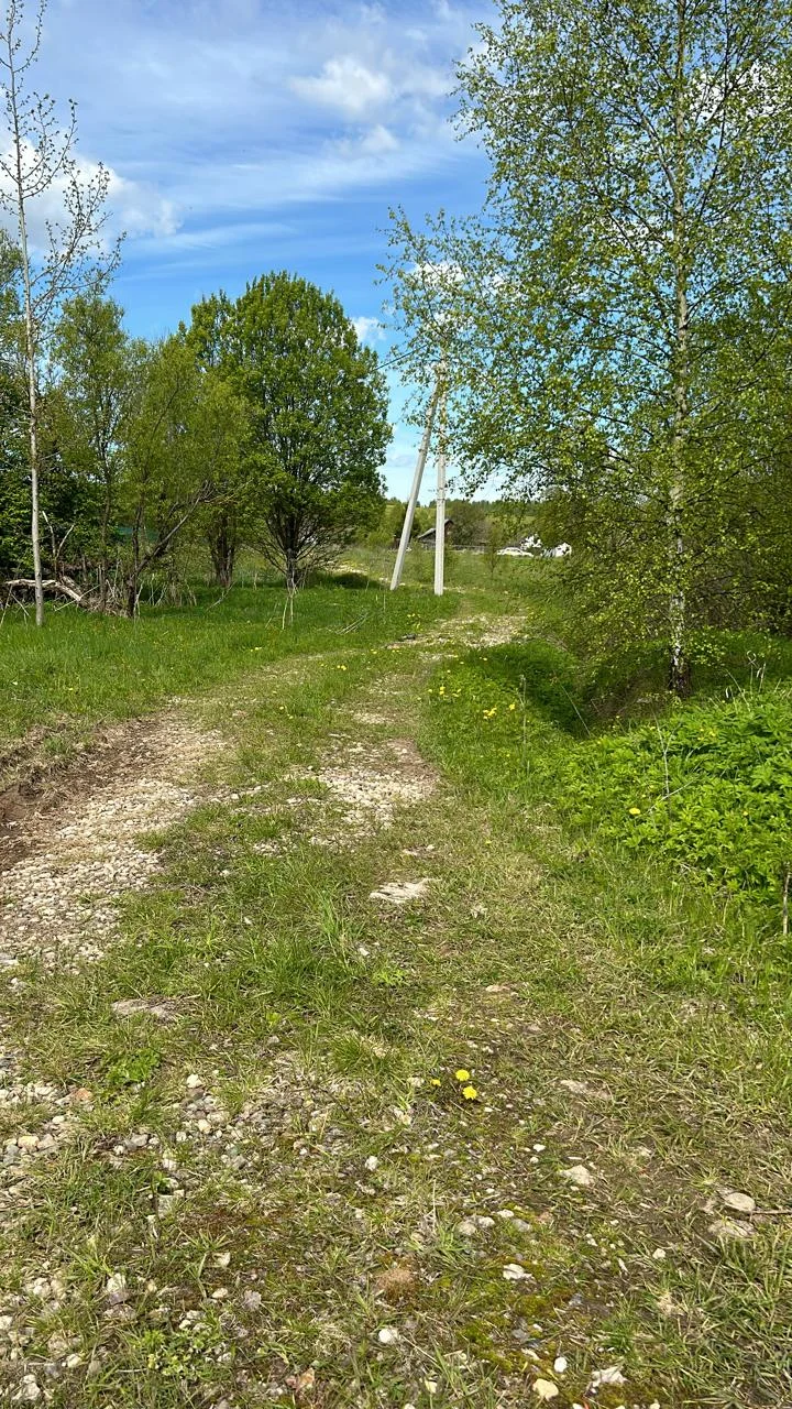 Продаю землю 6,2 га в Московской области - миниатюра 14