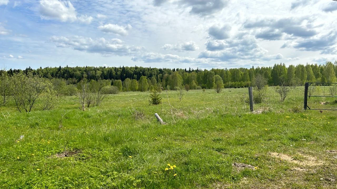 Продаю землю 6,2 га в Московской области - миниатюра 15