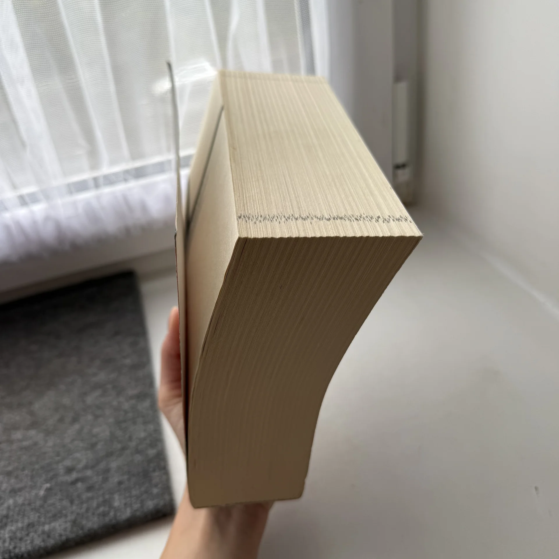 книга «Благоволительницы» Джонатан Литтелл - миниатюра 2