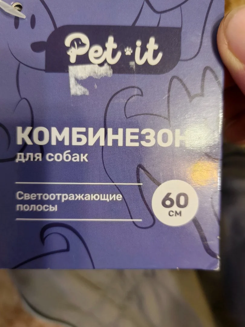 Комбинезон для собаки, мальчик - миниатюра 3