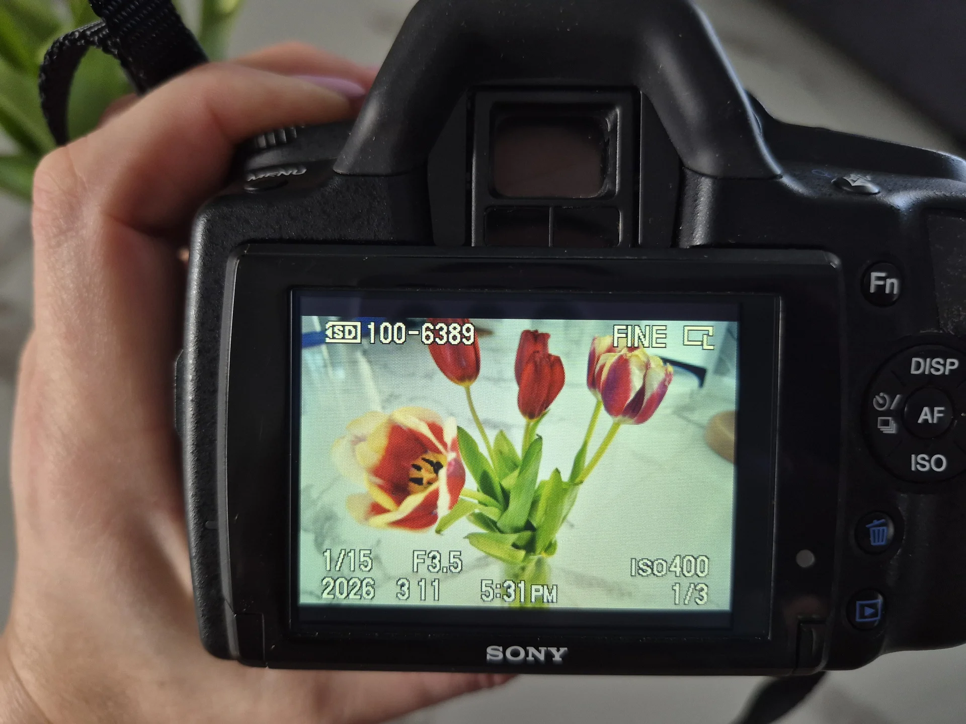 Зеркальный фотоаппарат Sony A390 - миниатюра 8