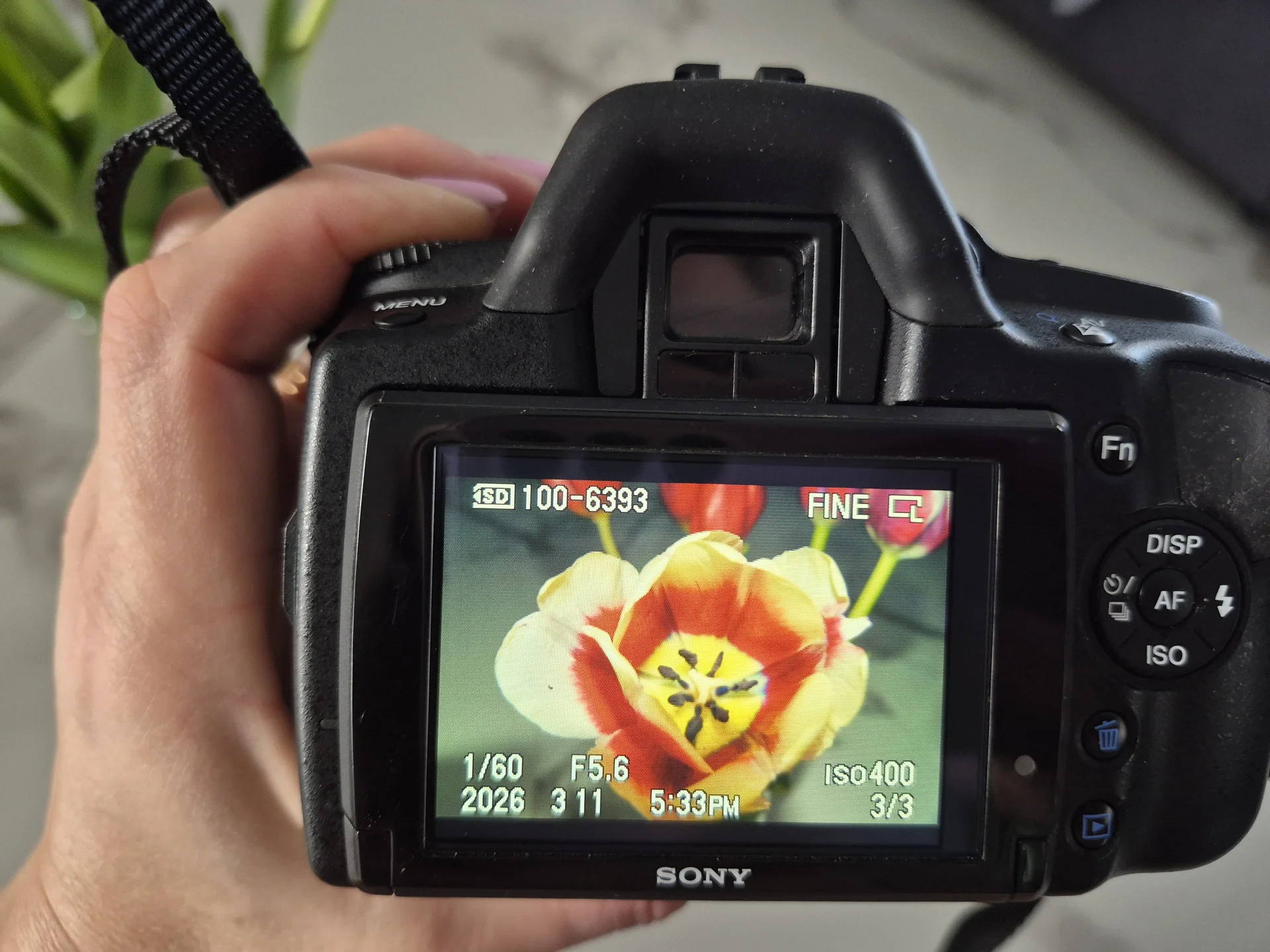 Зеркальный фотоаппарат Sony A390 - миниатюра 9