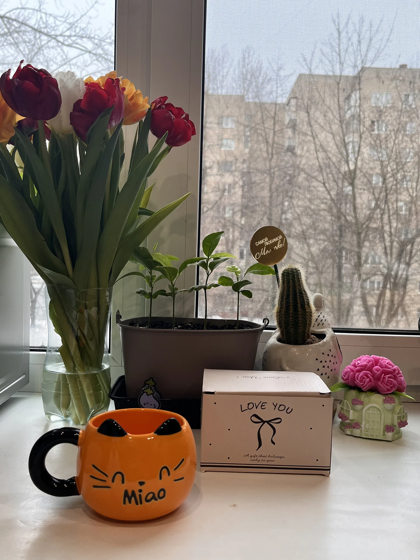 Кружка милый котик - миниатюра 6