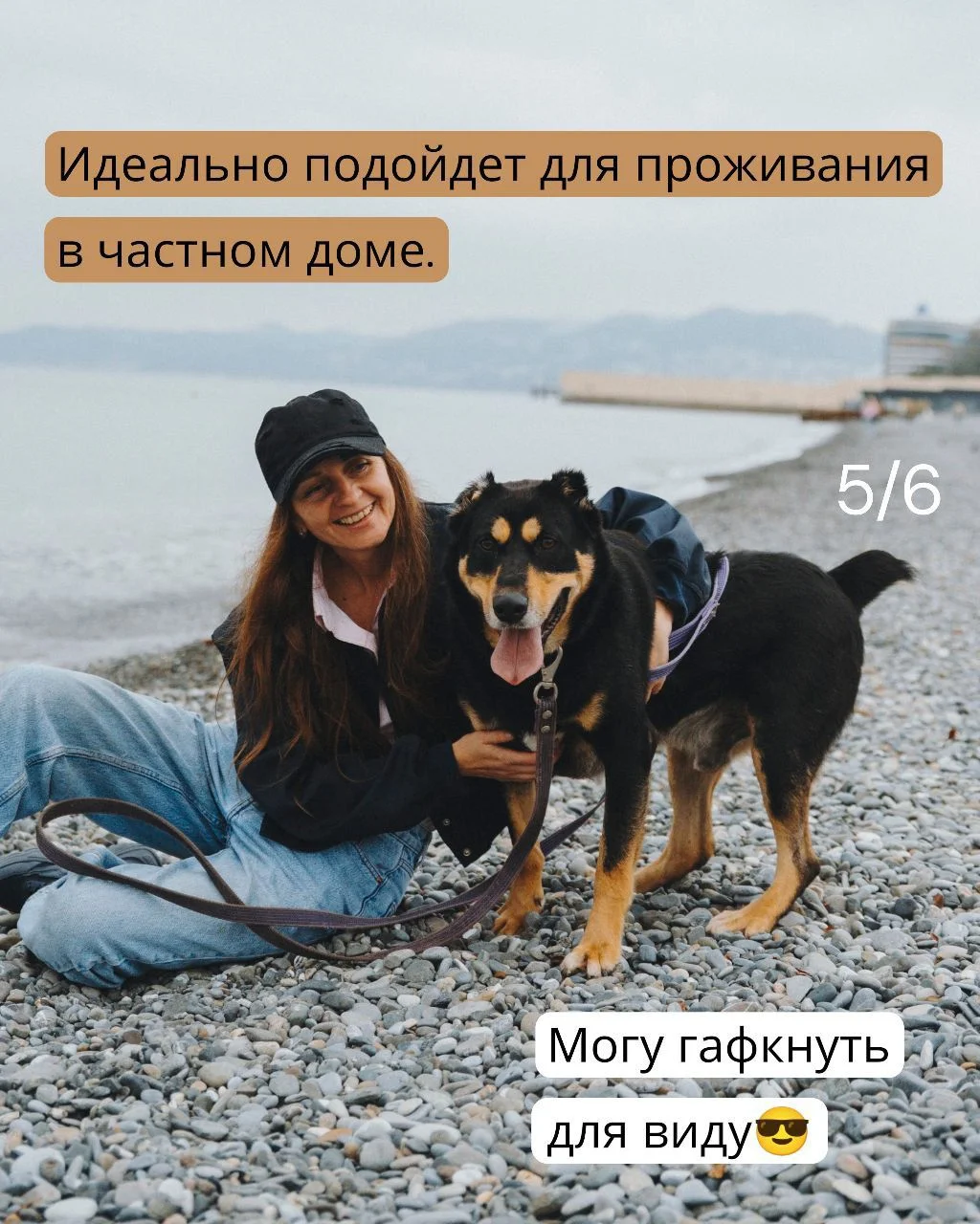 Метис ротвейлера в дар в добрые руки ищет дом. - миниатюра 5