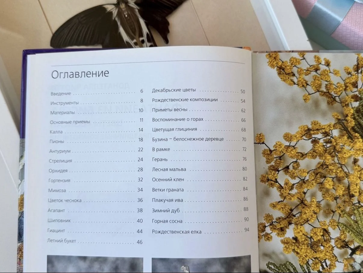 Самоучитель книга по бисероплетению Д.Чиотти - миниатюра 6