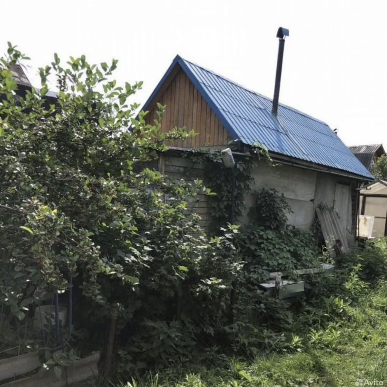 Продам участок, сад - миниатюра 2