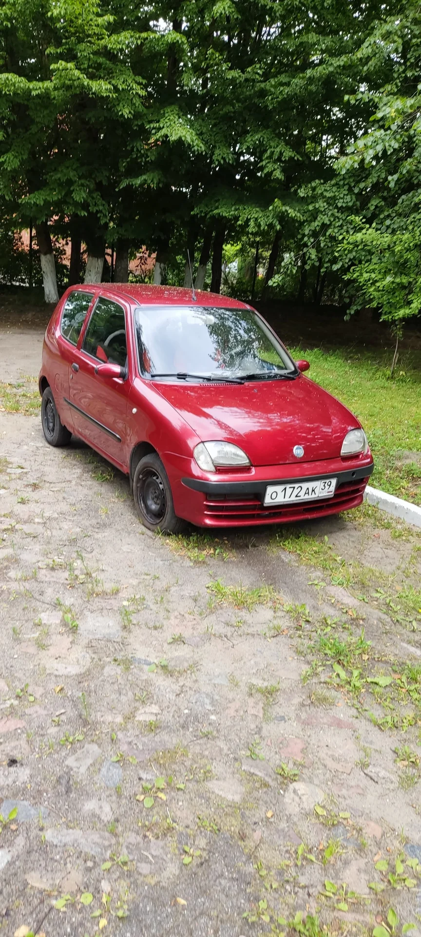 Fiat seicento 2001 1.1 МТ, 300000 км - миниатюра 2