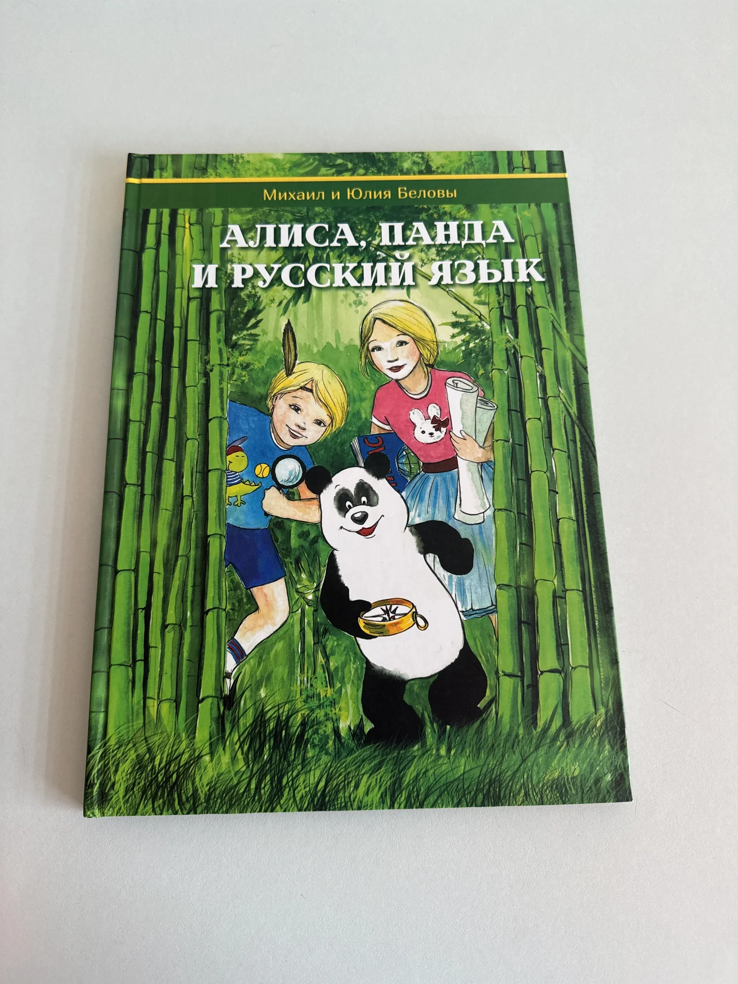 Алиса, панда и математика - миниатюра 6