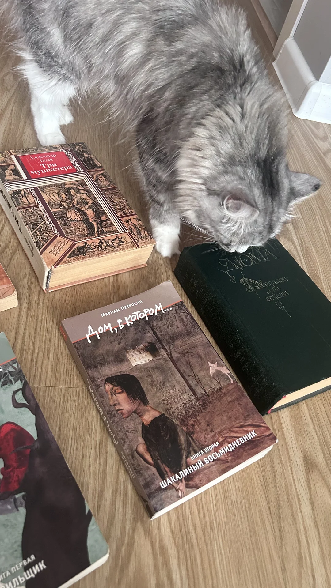 Продаются книги - миниатюра 6