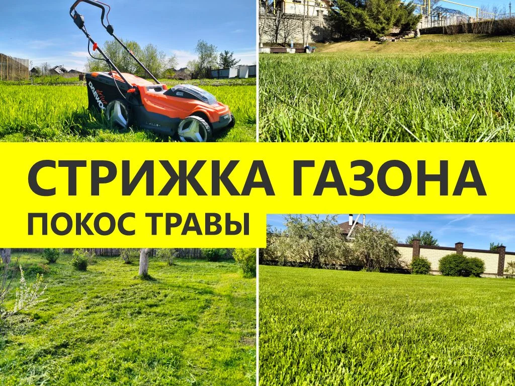 Покос травы, стрижка газона, скарификация - изображение 1