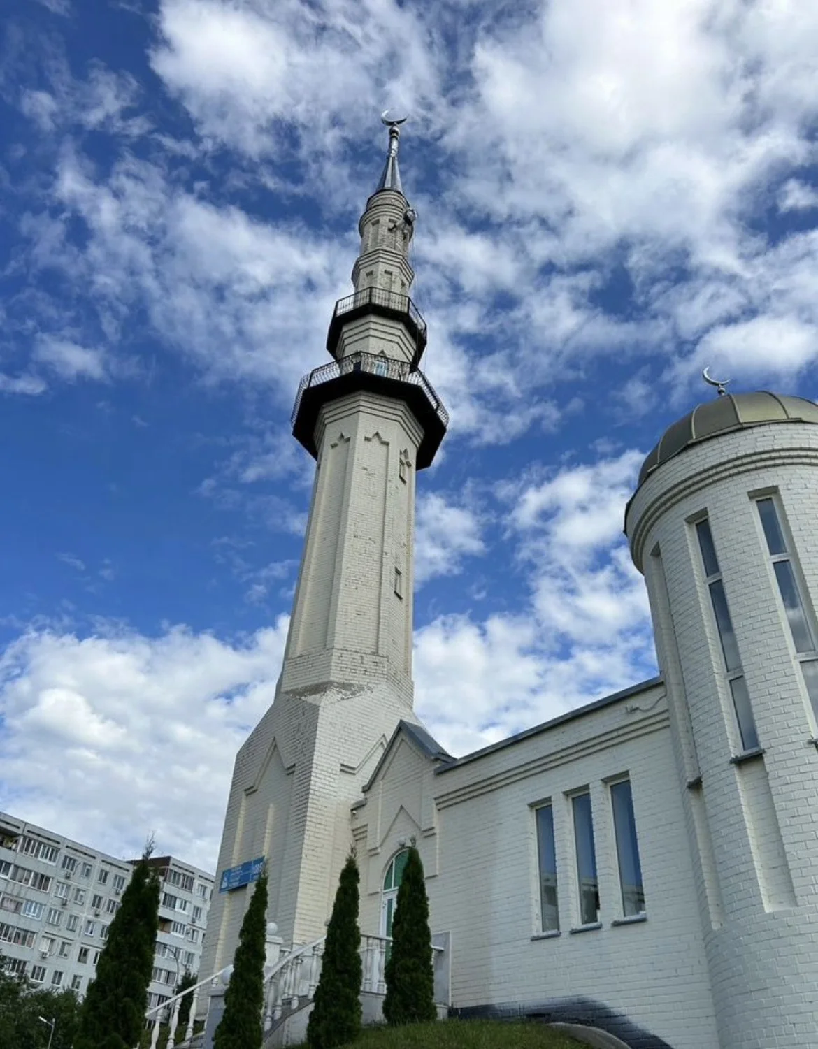 Маляр Высотник - миниатюра 5