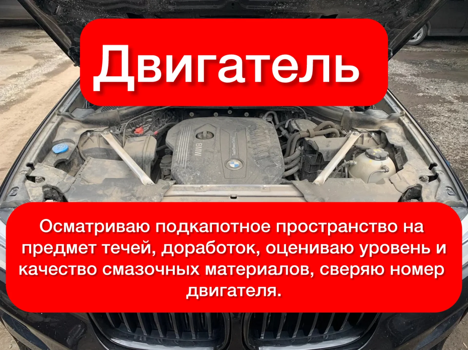 Автоподбор - миниатюра 5