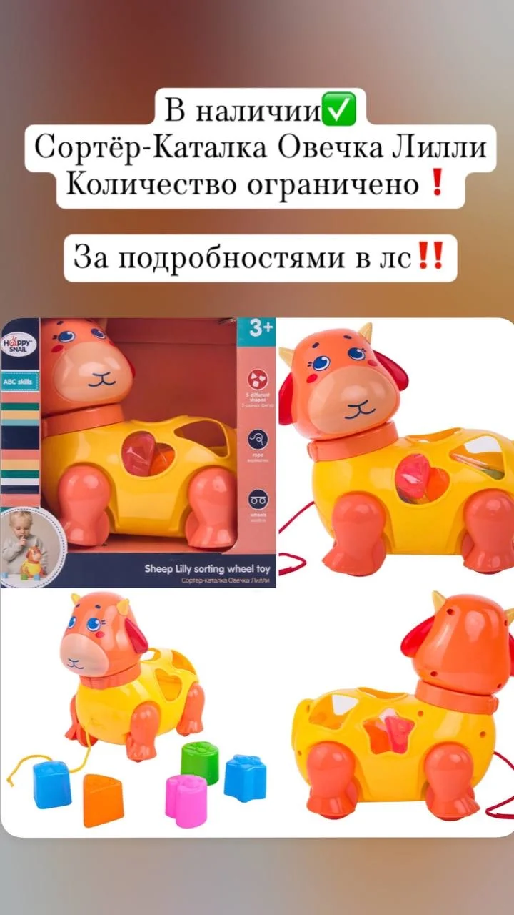 Новая игрушка Сортёр-Каталка Овечка - изображение 1