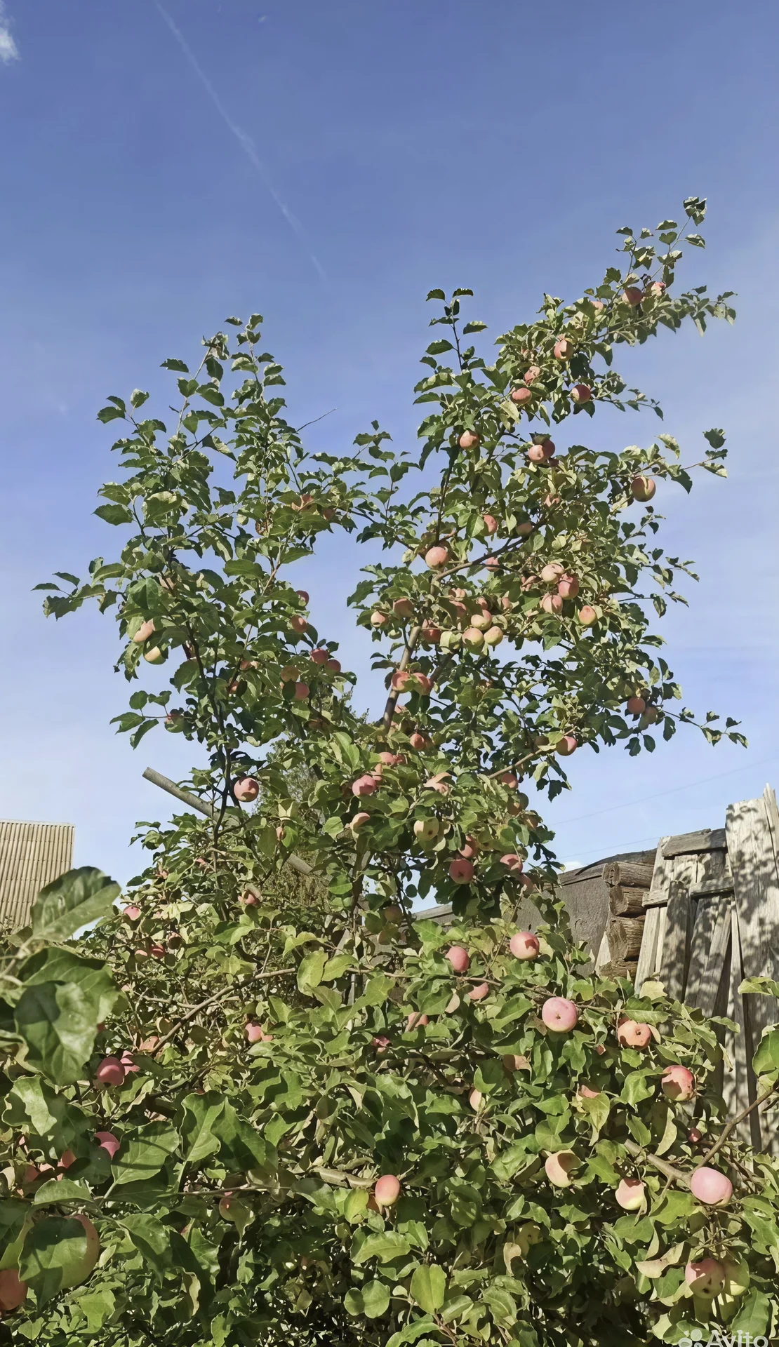 Продам участок ИЖС - миниатюра 3