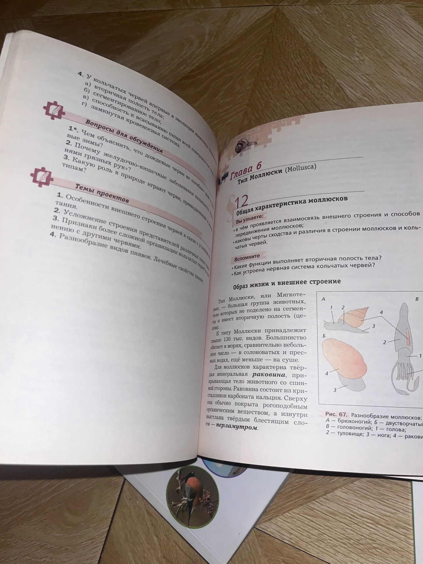 Учебники и пособия по биологии - миниатюра 6