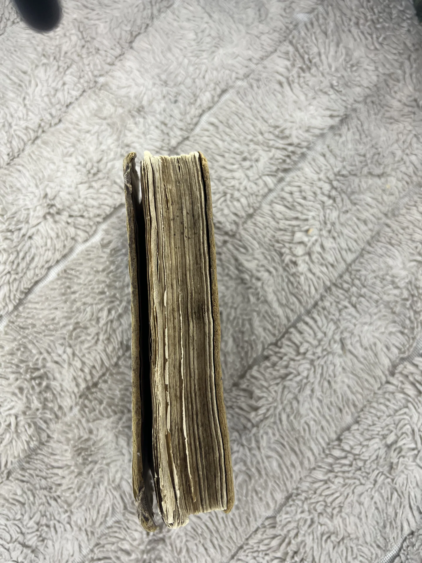 Святая книга «требник» - миниатюра 3