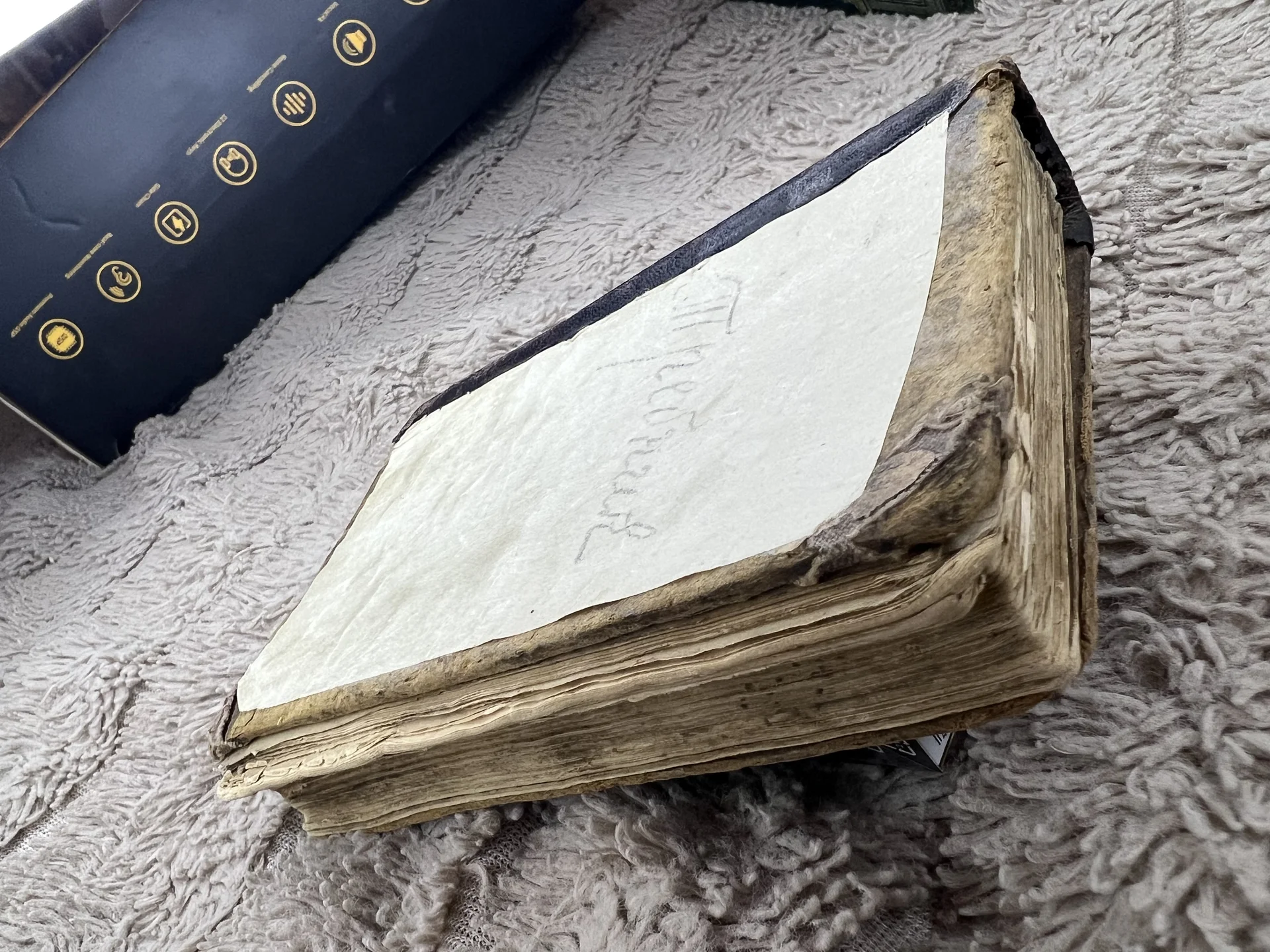 Святая книга «требник» - миниатюра 5
