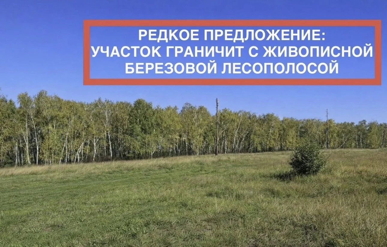 Участок 13 сот. (ИЖС) - изображение 1