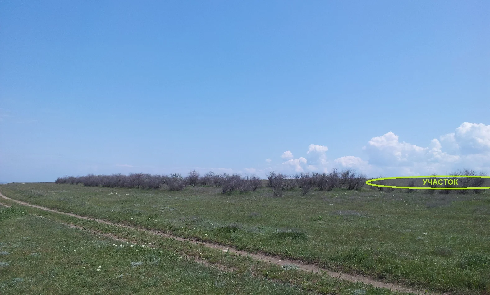 продам участок 40 соток в 150 метрах от моря - миниатюра 3