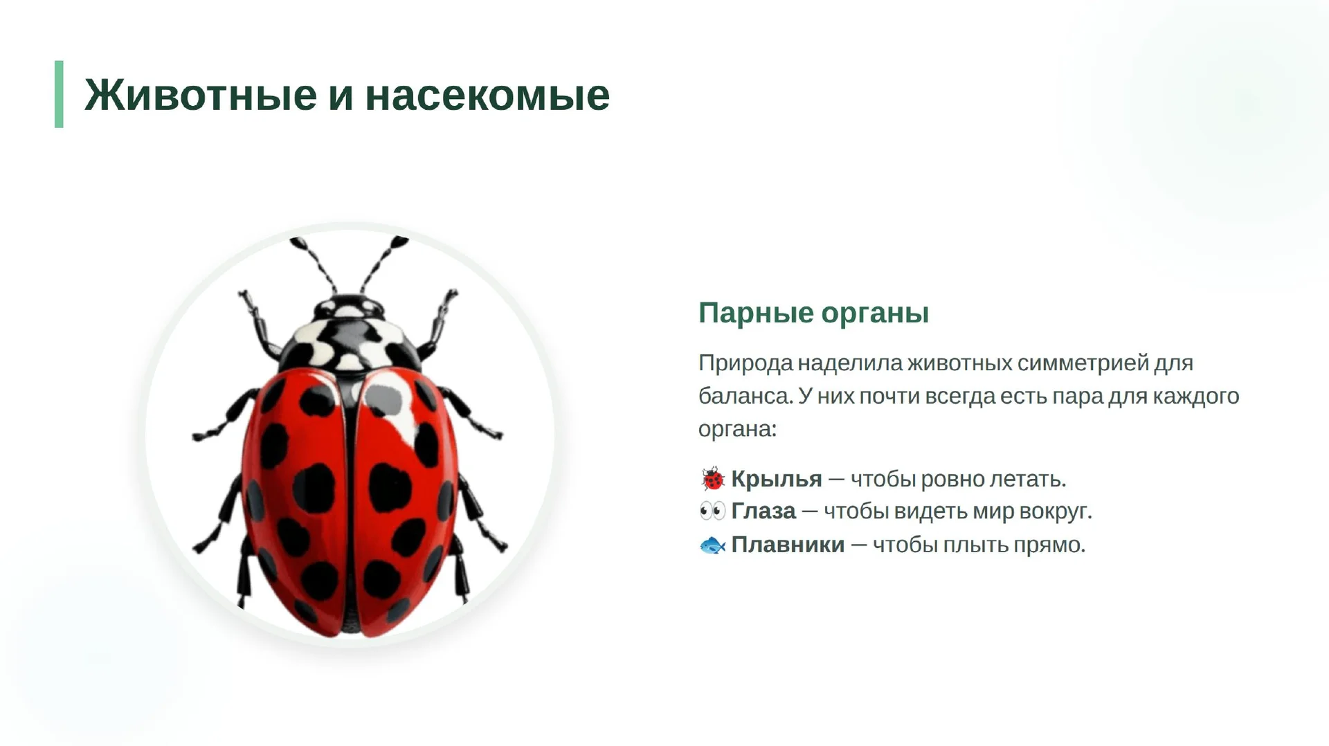 Школьные презентации, проекты и плакаты - миниатюра 8