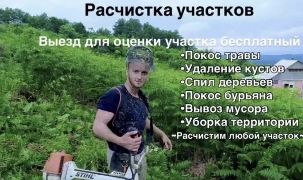 Расчистка участков - изображение 1