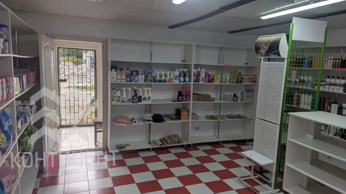 Помещение под магазин/склад 60,3 м² пгт Раздольное - миниатюра 4