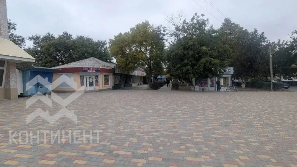 Помещение под магазин/склад 60,3 м² пгт Раздольное - миниатюра 10