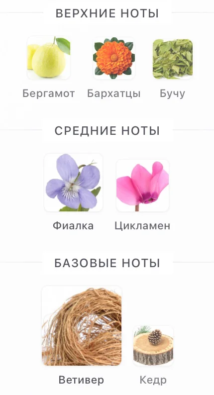 Парфюмерная вода BYREDO Bal D'Afrique 100 мл - миниатюра 2