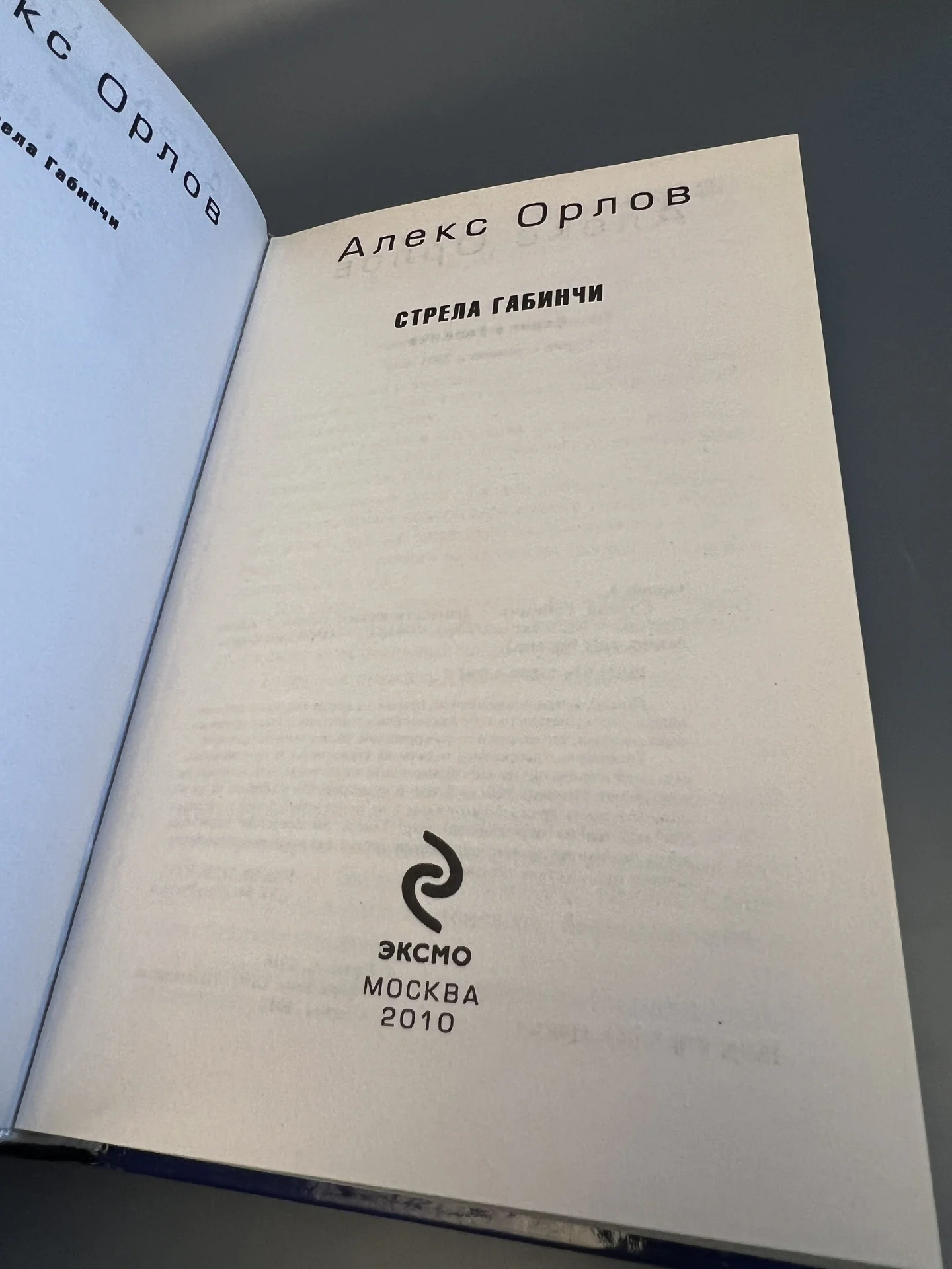 Стрела Габинчи - Орлов Алекс - миниатюра 3