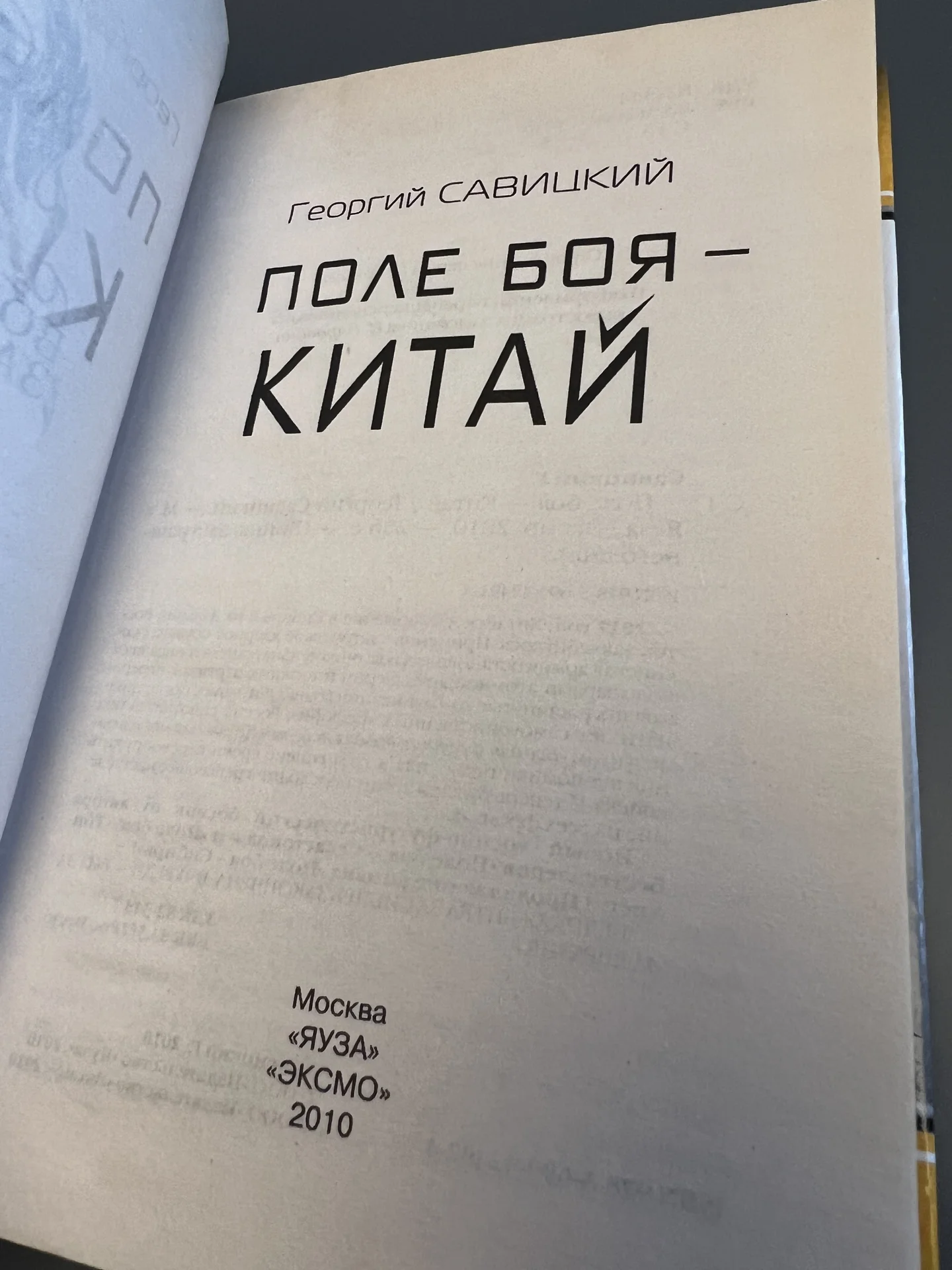 Поле боя - Китай - Савицкий Георгий Валериевич - миниатюра 3