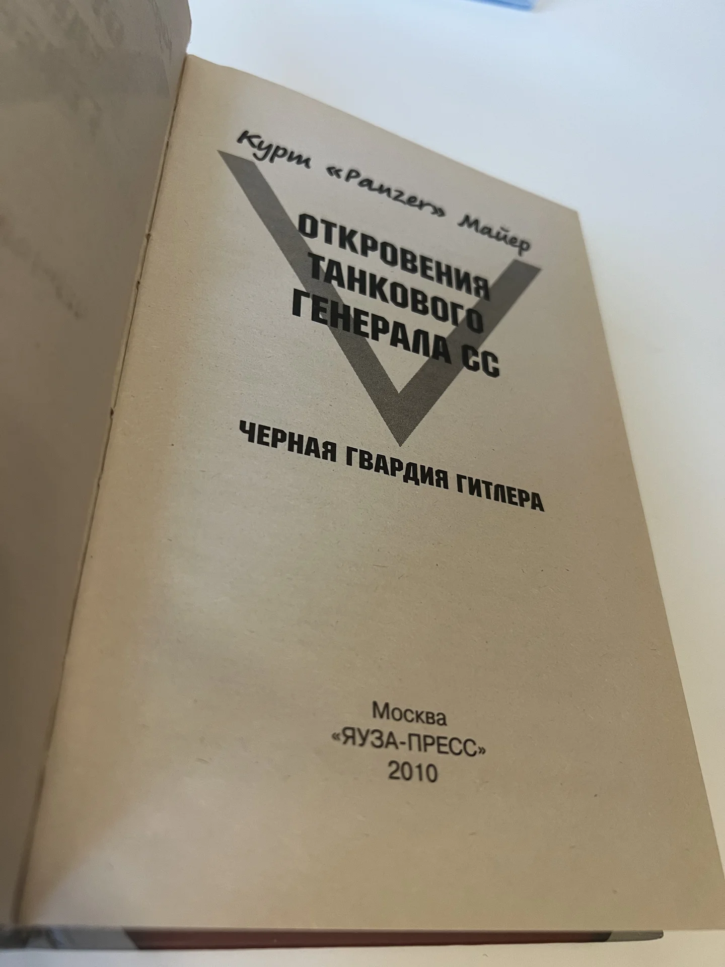 Откровения танкового генерала СС - миниатюра 3