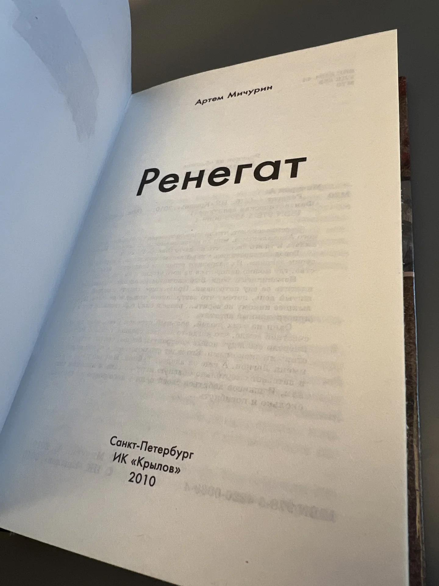 Ренегат. Еда и патроны 2 - Мичурин Артем - миниатюра 3