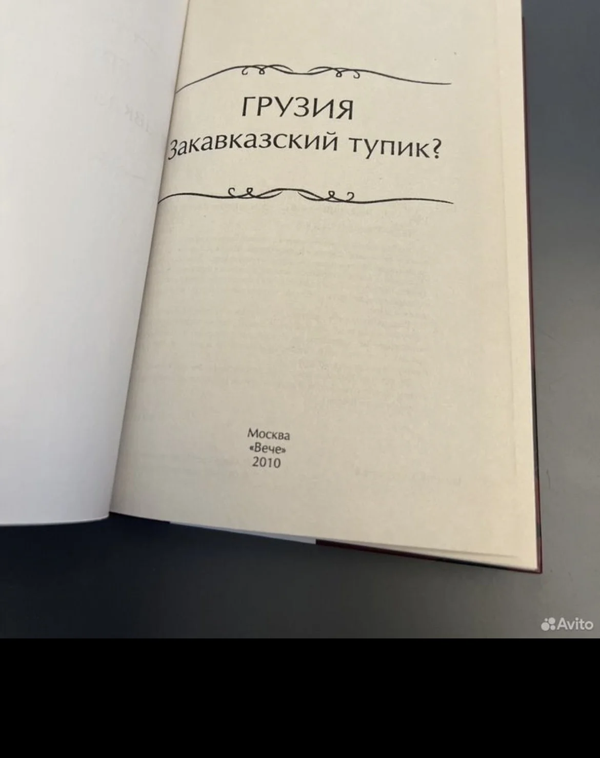 Грузия. Закавказский тупик - миниатюра 2