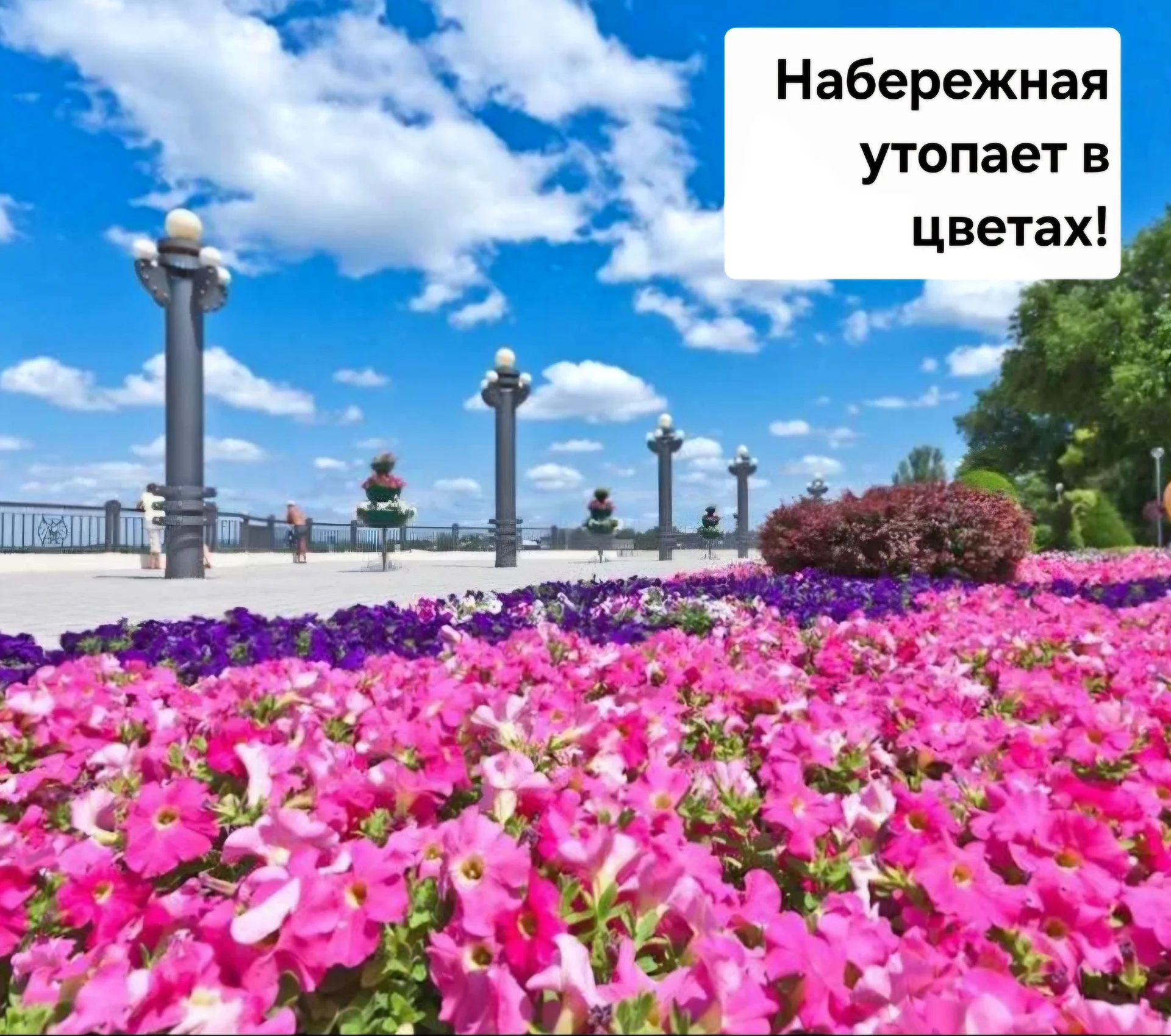 На Набережной,у самого Моря! - миниатюра 7