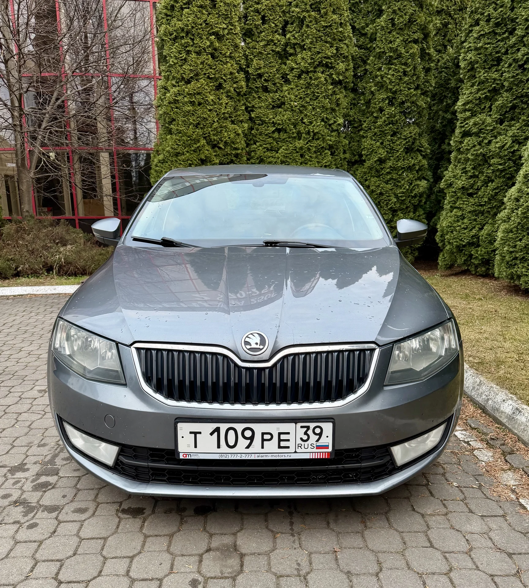 Skoda Octavia - миниатюра 2