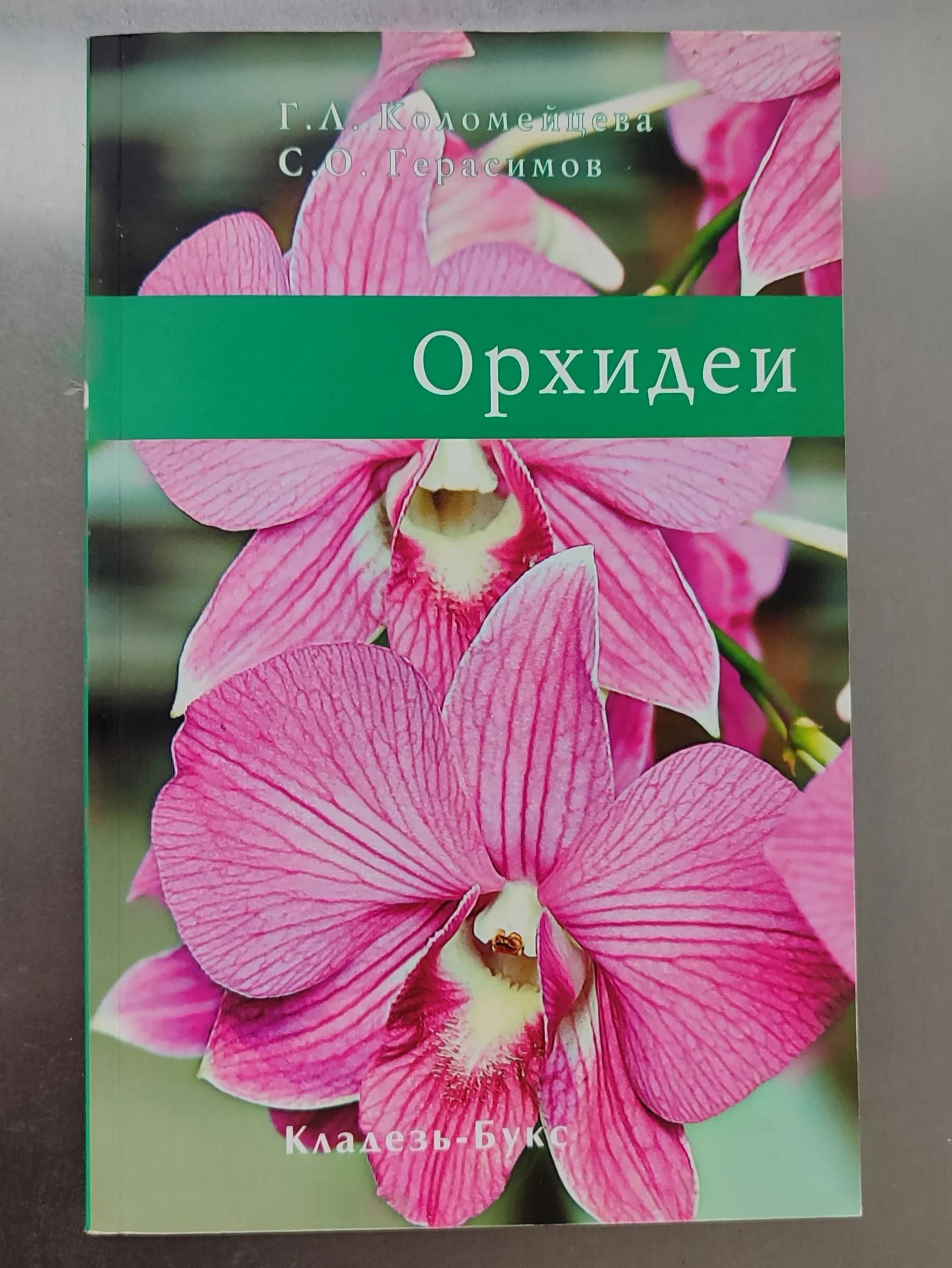 Орхидеи - изображение 1