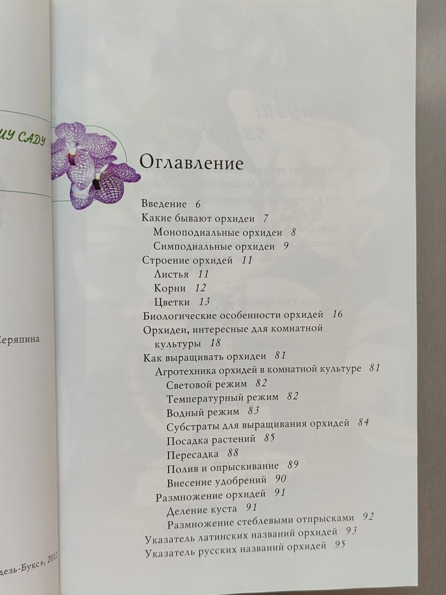 Орхидеи - миниатюра 3