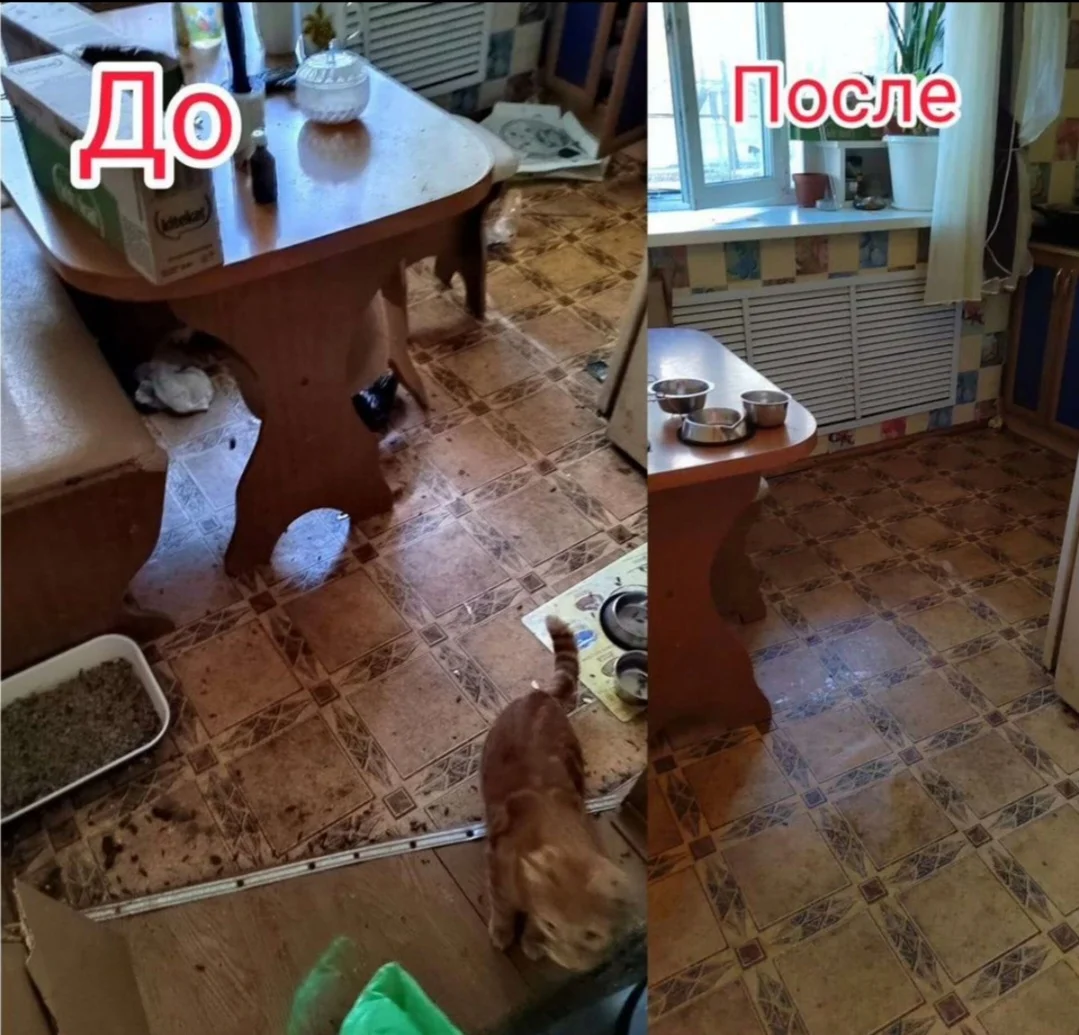 Клининг 🧽 - миниатюра 2