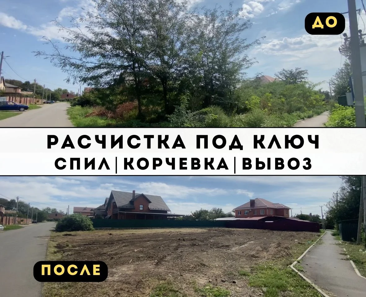 Расчистка участка спил деревьев измельчитель веток - миниатюра 2